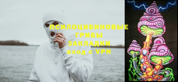 ешки Корсаков
