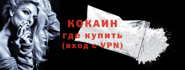 ешки Корсаков