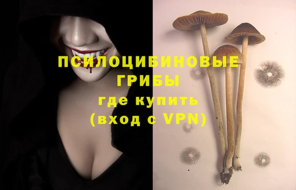 а пвп мука Туринск
