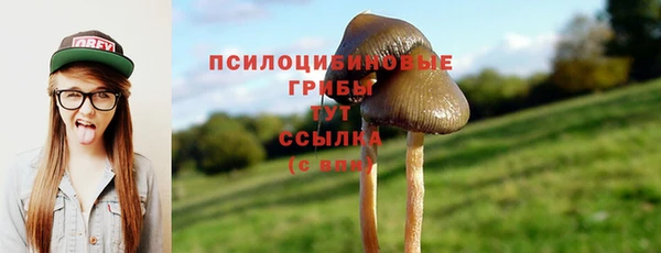 ешки Костерёво