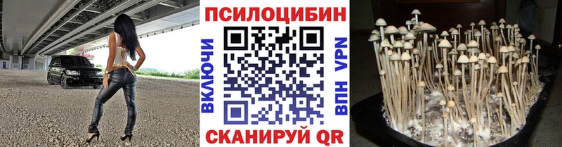 MEGA ONION  Чайковский  Галлюциногенные грибы Cubensis 