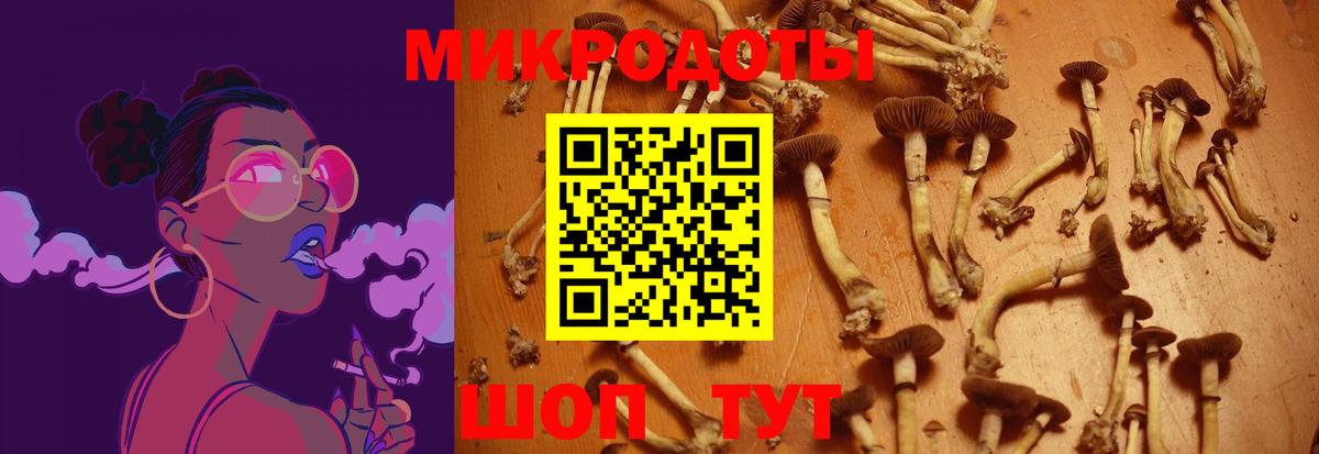 Галлюциногенные грибы ЛСД  Чайковский 